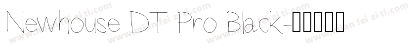 Newhouse DT Pro Black字体转换